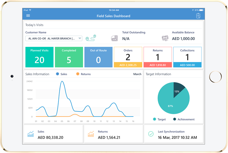 SalesWorx on iPad